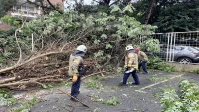 İstanbul’da devrilen ağaç 2 otomobile zarar verdi