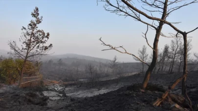 Marmaris’teki orman yangınına havadan ve karadan müdahale ediliyor