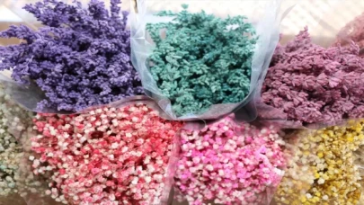 Adana’da dekoratif hale getirilen bitkiler 20 ülkeye ihraç ediliyor