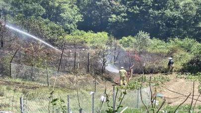 Beykoz’da ormanlık alanda çıkan yangın söndürüldü