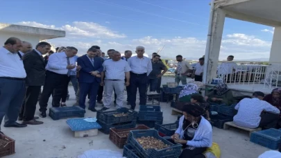 Malatya’da kayısı hasat günü etkinliği yapıldı