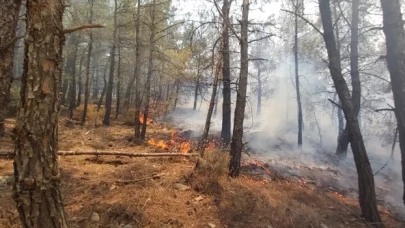 Datça’da çıkan orman yangınına havadan ve karadan müdahale ediliyor