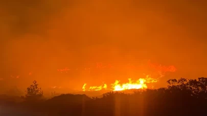 Çeşme’de makilik alanda çıkan yangına müdahale ediliyor
