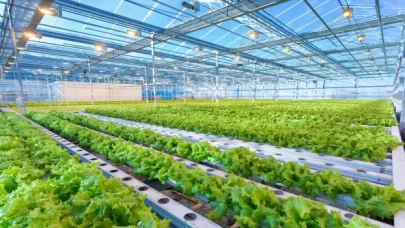 Assan Panel Azerbaycan tesisinde yeni ürün üretimine başladı