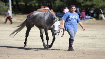 Uluslararası ve Ulusal Atlı Dayanıklılık Yarışmaları Çanakkale’de sürüyor