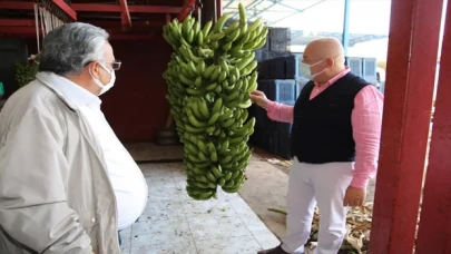 Alanya muzu coğrafi işaretle tescillendi