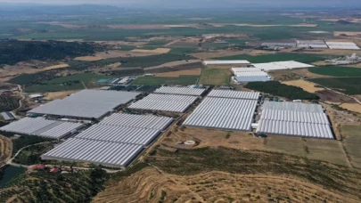 GRAFİKLİ  Çevreci ve ekonomik jeotermal seralar yüzde 400 büyüdü