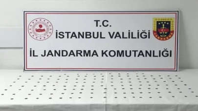 İstanbul’da tarihi eser kaçakçılığı operasyonu