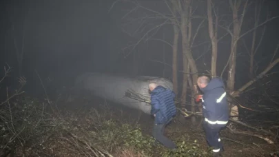 Anadolu Otoyolu’nda LPG yüklü tankerin devrilmesi sonucu 1 kişi yaralandı