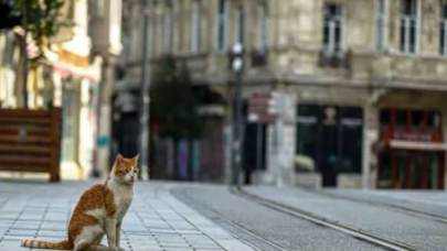 39 il, 32 saat süreyle evlerine kapanıyor