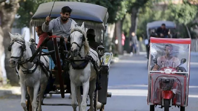 Atların çilesi bitmedi