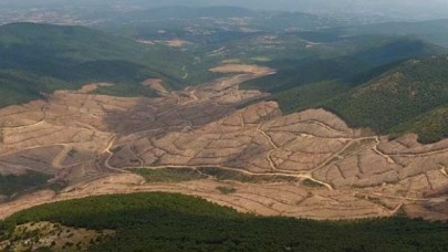 Hangisi doğru: Tarım Bakanlığı: Ruhsat iptal edildi/ Enerji Bakanlığı: İptal edilmedi