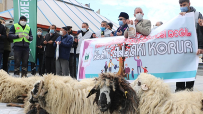 İstanbul Sözleşmesi'nden çıkıldığı için 'şükür kurbanı' kestiler