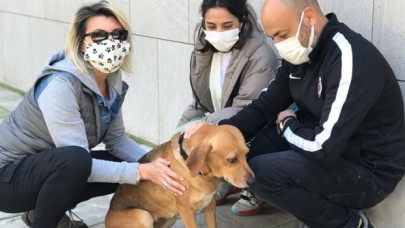 "Köpüş"ün canına kıyan sahibinin vasiyeti yerine getirildi