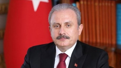 Şentop'tan Gergerlioğlu açıklaması: Anayasa'nın 84. maddesi açıktır. Okuduğunu anlamayan...