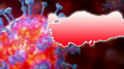 Türkiye'nin koronavirüsle bir yılı; Nasıl başladı, nereye gelindi?