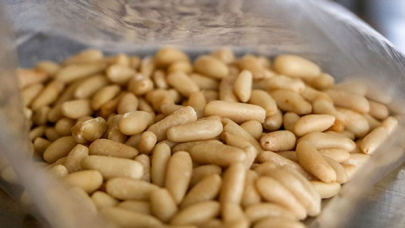 20 liralık yer fıstığını, 800 liraya satıyorlar