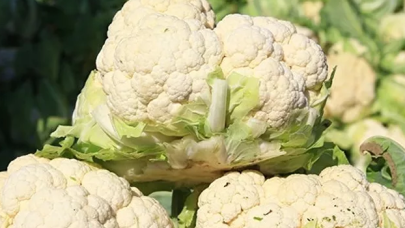 Mart ayında yüzde 35 artış ile en çok karnabaharın fiyatı yükseldi