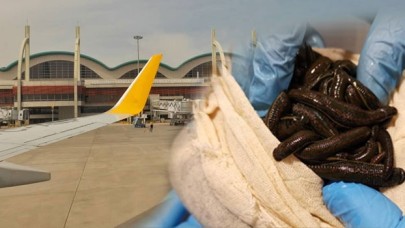 Sabiha Gökçen'de sülük operasyonu!