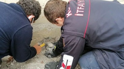 Su tahliye borusuna sıkışan kaplumbağa 1 saatte kurtarıldı