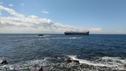 Tuzla’da gemi karaya oturdu