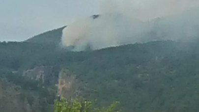 Bodrum'da orman yangını