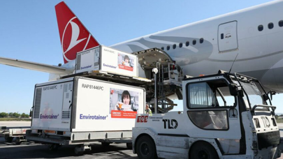 Çin'den gelen aşı sayısı belli oldu