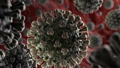 DSÖ: Hindistan varyantı 53 bölgede kaydedildi