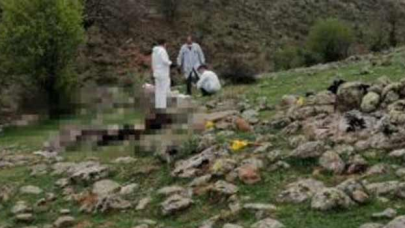 "Hayvan otlatma" kavgasında 2 ölü