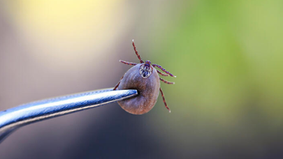 KKKA şüphesiyle Ankara'ya sevk edilen kadın hayatını kaybetti