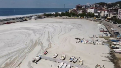 Marmara Denizi, "deniz salyası"yla boğuşuyor