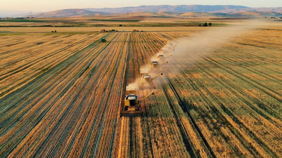 Tarımda "tükenmişlik" sendromu