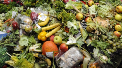 Tarladan çöplüğe! Fiyatlar yarı yarıya ucuzladı, alıcı yok