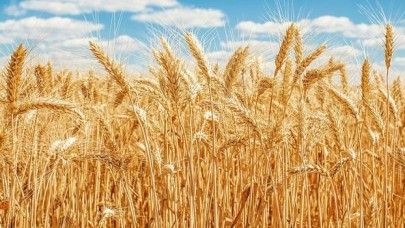 Zam yağacak... Sebebi kuraklık