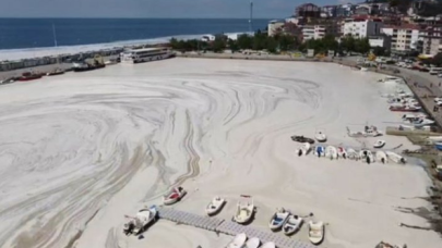 Deniz salyası kâbusu büyüyor