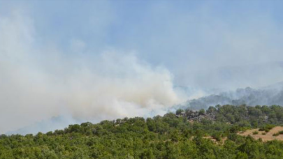 Görese Dağı 4 gündür yanıyor