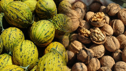 İpsala kavunu ve cevizi için marka tescil başvurusu yapıldı