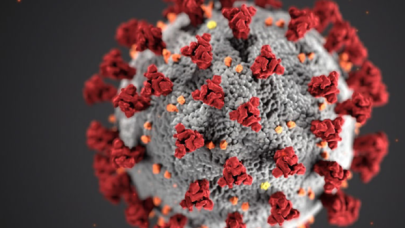 İşte ABD'nin gizli koronavirüs raporu