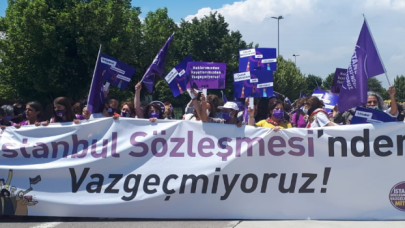 Kadınlar İstanbul Sözleşmesi için toplandı; Emel Seçen izlenimlerini yazdı