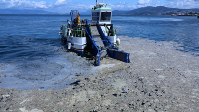 Marmara Denizi'nde "ekolojik yıkım"
