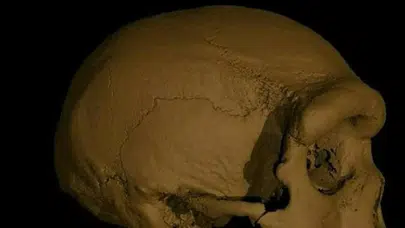 Modern insana Neandertallerden daha yakın tür keşfi: 'Ejderha Adam'