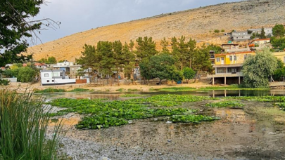 Nilüfer çiçeği ve Nilüfer Gölü yok oluyor