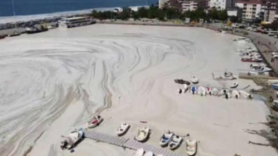 Prof. Saydam: Müsilaj ile Marmara 'ben öldüm' diyor, bir de Kanal İstanbul yapılırsa...