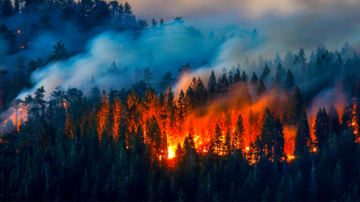 Adana’da orman yangını; havadan ve karadan müdahale ediliyor