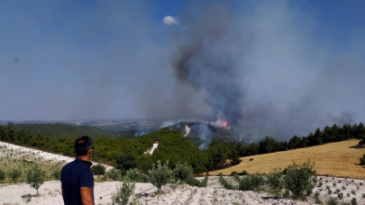 Manisa'daki orman yangınları kontrol altına alındı
