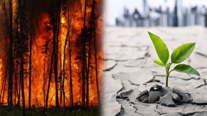 Aşırı sıcaklar ve orman yangınları "İklim değişikliği"nde ne gibi rol oynuyor?