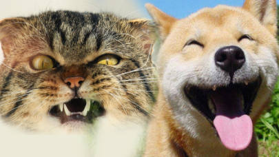 Dünyanın en pozitif ve en negatif ülkeleri belli oldu