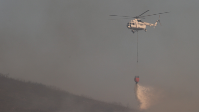 Foça'daki orman yangını kısmen kontrol altında