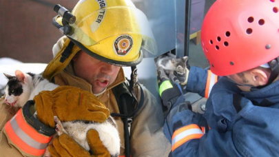 İstanbul itfaiyesi, geçtiğimiz yıl 24 bin 670 hayvan kurtardı