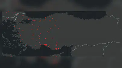 NASA Türkiye'deki orman yangınlarını görüntüledi